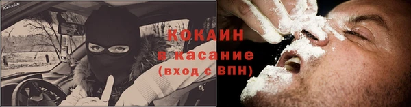 хмурый Алексин