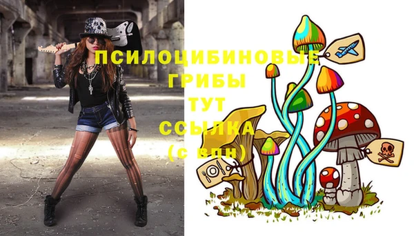 хмурый Алексин