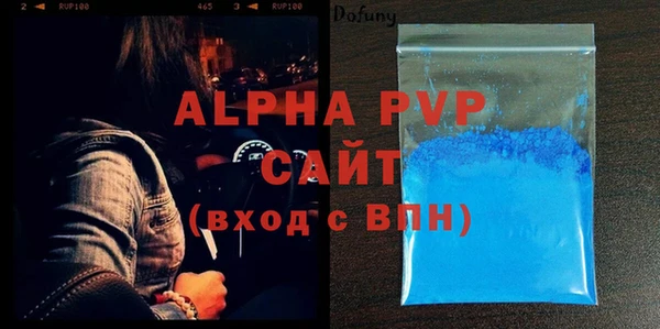 хмурый Алексин