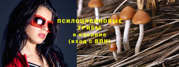 скорость Саяногорск