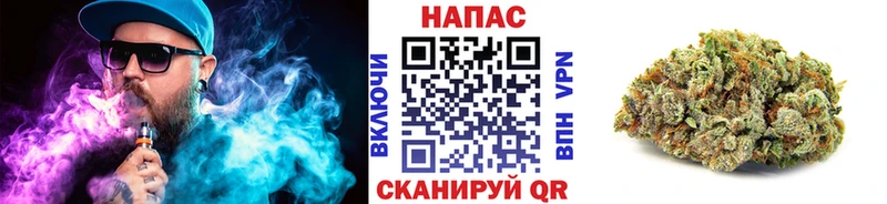 Купить закладки  Волосово  МАРИХУАНА Ganja 